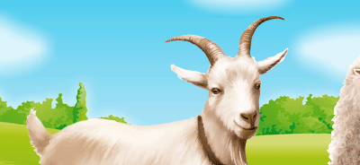 Výletní areál Pěnčín Kozí Farma