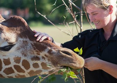 Výlet do zoologické zahrady ve Dvoře Královém
